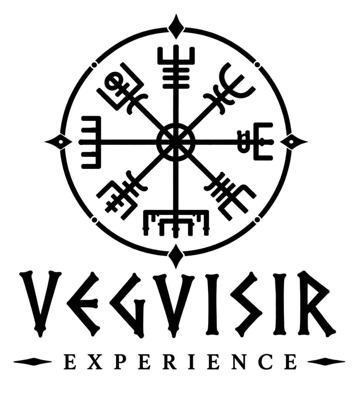 Vegvisir Experience